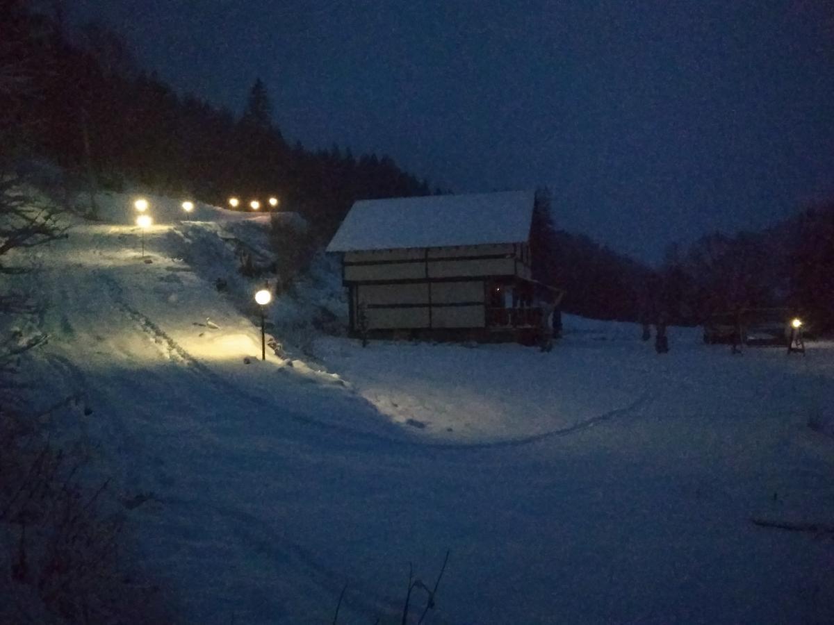 Holiday home Khatyna U Dolyni Slavske